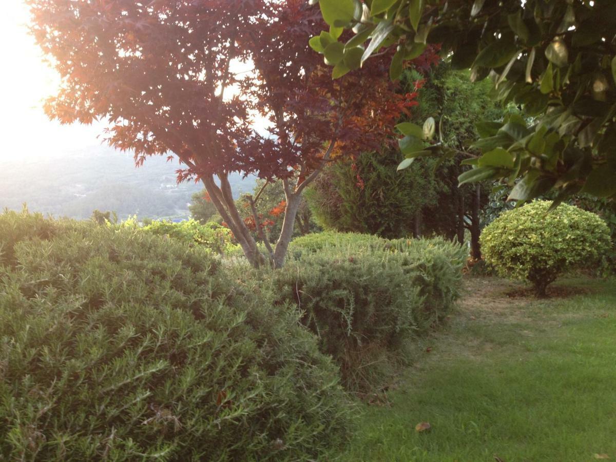 Quinta Da Calcada Villa Melgaco Ngoại thất bức ảnh